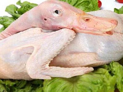 江門飯?zhí)贸邪? border= 江門飯?zhí)贸邪? style=